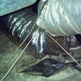 Attic & Crawlspace Inspection