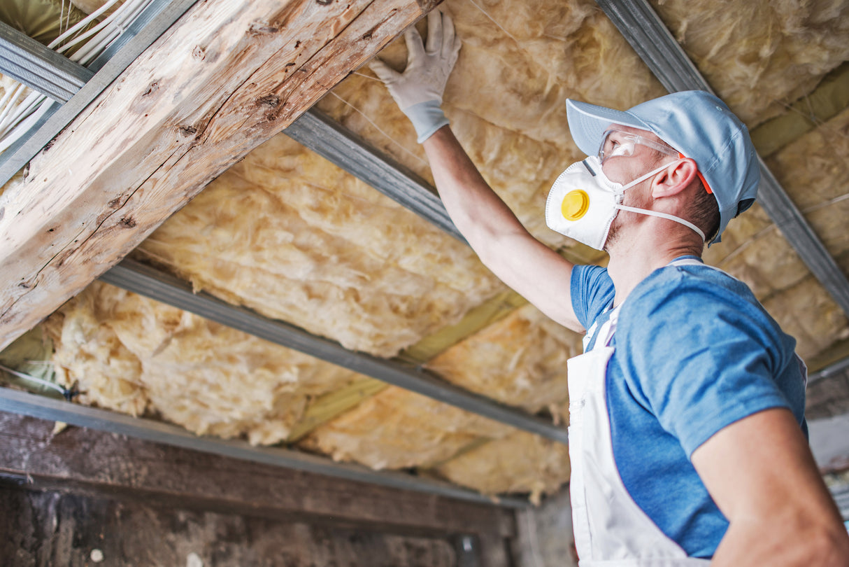 Attic Insulation Inspection